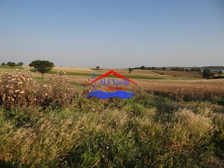 Αγροτεμάχια 10.350 τ.μ. προς ενοικίαση, Έβρος, Αλεξανδρούπολη-thumb-10