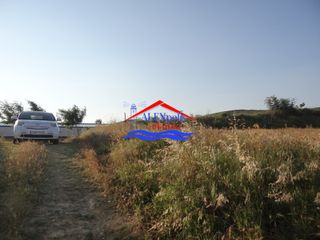 Αγροτεμάχια 10.350 τ.μ. προς ενοικίαση, Έβρος, Αλεξανδρούπολη-thumb-5