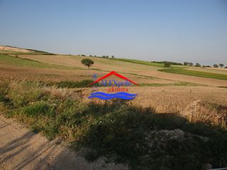 Αγροτεμάχια 10.350 τ.μ. προς ενοικίαση, Έβρος, Αλεξανδρούπολη-thumb-20