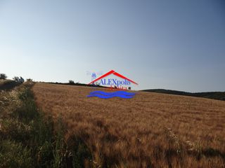 Αγροτεμάχια 10.350 τ.μ. προς ενοικίαση, Έβρος, Αλεξανδρούπολη-thumb-12