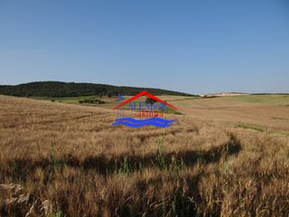Αγροτεμάχια 10.350 τ.μ. προς ενοικίαση, Έβρος, Αλεξανδρούπολη-thumb-9
