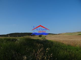 Αγροτεμάχια 10.350 τ.μ. προς ενοικίαση, Έβρος, Αλεξανδρούπολη-thumb-7