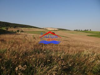 Αγροτεμάχια 10.350 τ.μ. προς ενοικίαση, Έβρος, Αλεξανδρούπολη-thumb-15