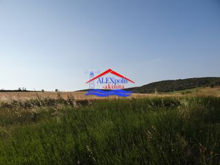 Αγροτεμάχια 10.350 τ.μ. προς ενοικίαση, Έβρος, Αλεξανδρούπολη-thumb-8