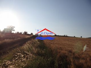 Αγροτεμάχια 10.350 τ.μ. προς ενοικίαση, Έβρος, Αλεξανδρούπολη-thumb-14