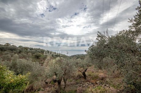 Parcel 4.835sqm for sale-Argalasti » Lefokastro