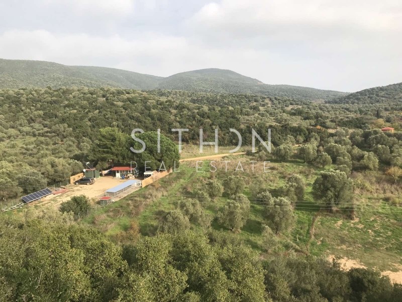 Αγροτεμάχια 1.050 τ.μ. προς πώληση, Κουφός Τορώνης