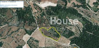 Αγροτεμάχια 7.701 τ.μ. για πώληση, Ζάκυνθος, Αρτεμίσιο-thumb-5