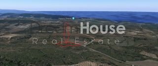 Αγροτεμάχια 7.701 τ.μ. για πώληση