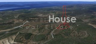 Αγροτεμάχια 7.701 τ.μ. για πώληση, Ζάκυνθος, Αρτεμίσιο-thumb-3