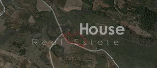 Αγροτεμάχια 7.701 τ.μ. για πώληση, Ζάκυνθος, Αρτεμίσιο-thumb-2