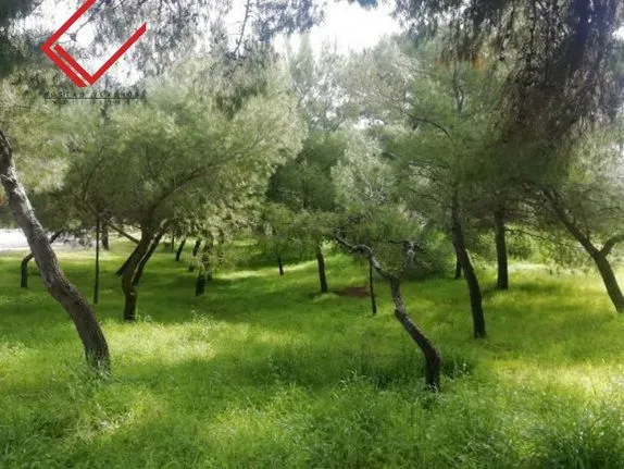 Land plot 310 sqm for sale, Athens - South, Glyfada