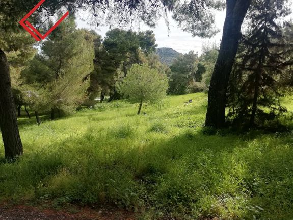 Land plot 1.204 sqm for sale, Athens - South, Voula