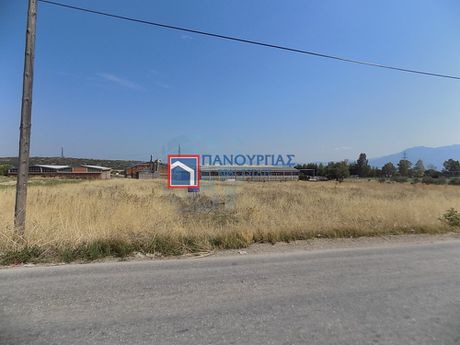 Αγροτεμάχια 9.000τ.μ. για πώληση-Λαμία » Μεγάλη βρύση