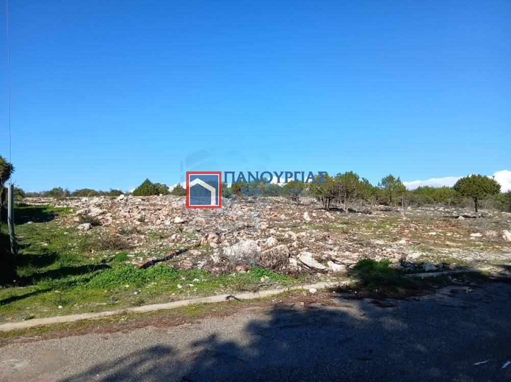 Οικόπεδο 1.000 τ.μ. προς πώληση, Θεολόγος Μαλεσίνας