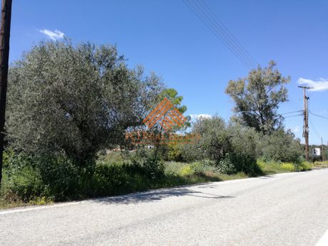 Οικόπεδο 800 τ.μ. για πώληση