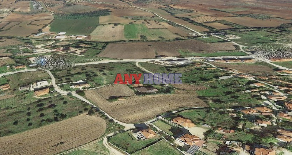 Οικόπεδο 6.600 τ.μ. προς πώληση, Κασσάνδρεια