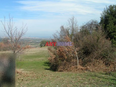 Αγροτεμάχια 4.228τ.μ. για πώληση-Βεργίνα » Σκοτίνα