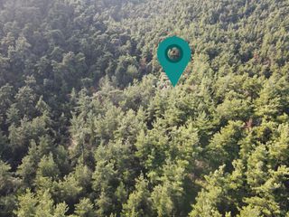 Αγροτεμάχια 4.523 τ.μ. πρός πώληση, Ν. Καβάλας, Θάσος-thumb-4