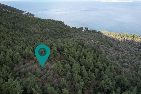 Αγροτεμάχια 4.523τ.μ. για πώληση-Θάσος » Γλυκάδι
