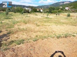 Οικόπεδο 2.530 τ.μ. για πώληση