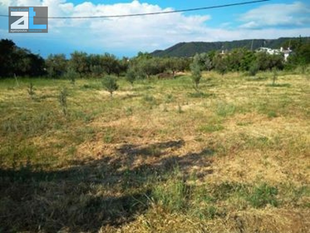 Οικόπεδο 2.530 τ.μ. προς πώληση, Αχαΐα, Πάτρα