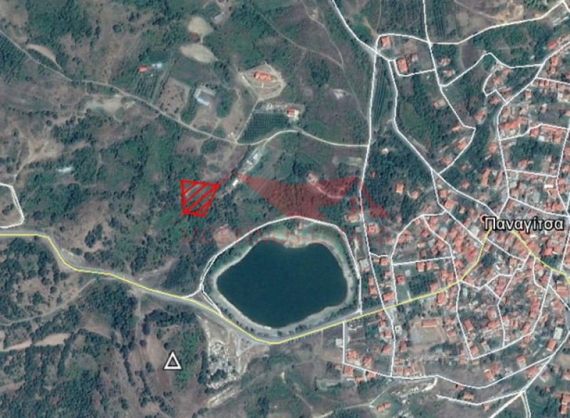 Οικόπεδο 4.500 τ.μ. για πώληση, Πέλλα, Βεγορίτιδα