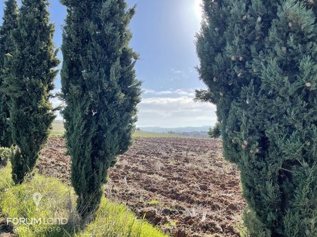 Αγροτεμάχια 5.000τ.μ. για πώληση-Πανόραμα » Κέντρο