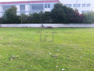Οικόπεδο 1.250 τ.μ. για ενοικίαση, Αχαΐα, Πάτρα-thumb-23