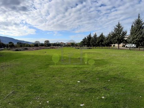 Land plot 1.250sqm for rent-Patra » Glaukos