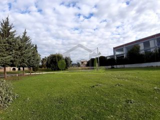 Οικόπεδο 1.250 τ.μ. για ενοικίαση, Αχαΐα, Πάτρα-thumb-20