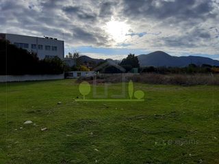 Οικόπεδο 1.250 τ.μ. για ενοικίαση, Αχαΐα, Πάτρα-thumb-13