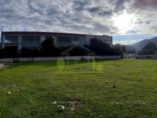 Οικόπεδο 1.250 τ.μ. για ενοικίαση, Αχαΐα, Πάτρα-thumb-10