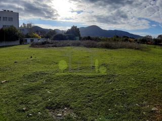 Οικόπεδο 1.250 τ.μ. για ενοικίαση, Αχαΐα, Πάτρα-thumb-19
