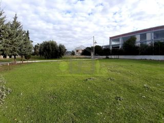 Οικόπεδο 1.250 τ.μ. για ενοικίαση, Αχαΐα, Πάτρα-thumb-14
