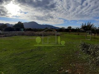 Οικόπεδο 1.250 τ.μ. για ενοικίαση, Αχαΐα, Πάτρα-thumb-17