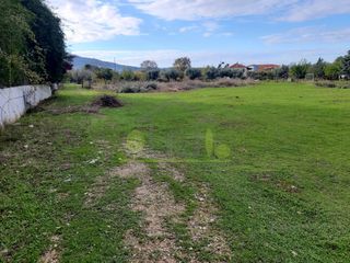 Οικόπεδο 1.250 τ.μ. για ενοικίαση, Αχαΐα, Πάτρα-thumb-15