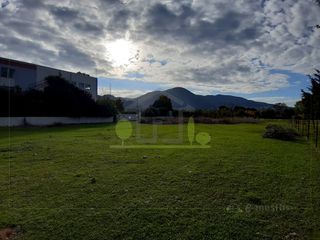 Οικόπεδο 1.250 τ.μ. για ενοικίαση, Αχαΐα, Πάτρα-thumb-4