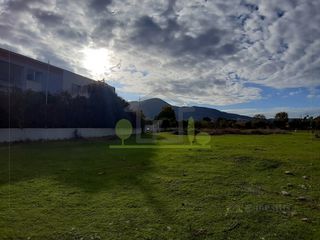 Οικόπεδο 1.250 τ.μ. για ενοικίαση, Αχαΐα, Πάτρα-thumb-9