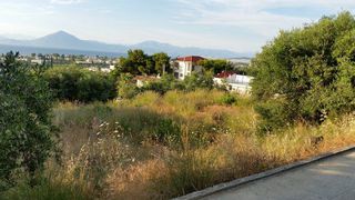 Οικόπεδο 587 τ.μ. για πώληση, Αχαΐα, Παραλία-thumb-2