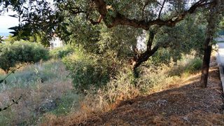 Οικόπεδο 587 τ.μ. για πώληση, Αχαΐα, Παραλία-thumb-7
