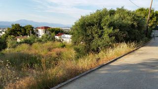 Οικόπεδο 587 τ.μ. για πώληση, Αχαΐα, Παραλία-thumb-3