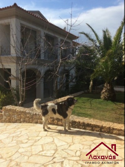 Μονοκατοικία 445 τ.μ. πρός πώληση, Αττική - Υπόλοιπο, Αφίδνες