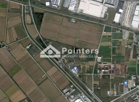 Αγροτεμάχια 26.000 τ.μ. πρός πώληση