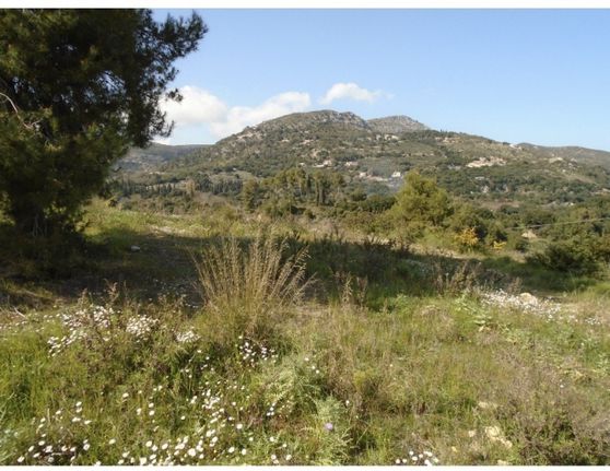 Parcel 4.248 sqm for sale, Kefallinia Prefecture, Kefalonia