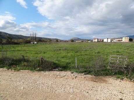 Οικόπεδο 708τ.μ. για πώληση-Ιωάννινα » Καρδαμίτσια