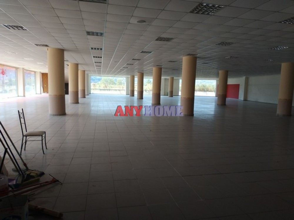 Επιχειρηματικό κτίριο 5.000 τ.μ. προς ενοικίαση, Λαγυνά Λαγκαδά