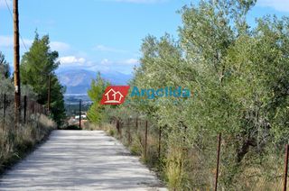 Αγροτεμάχια 4.000 τ.μ. για πώληση