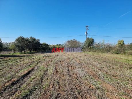 Parcel 4.000sqm for sale-Kallikrateia » Agios Pavlos