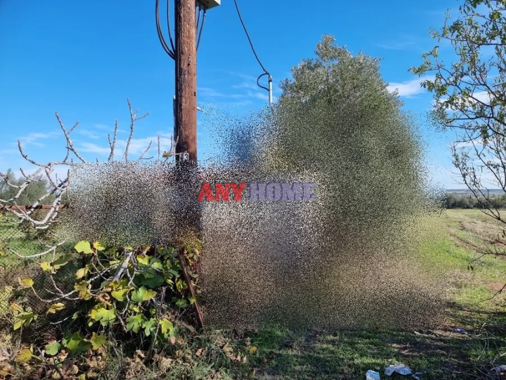Αγροτεμάχια 4.000 τ.μ. προς πώληση, Άγιος Παύλος Καλλικράτειας